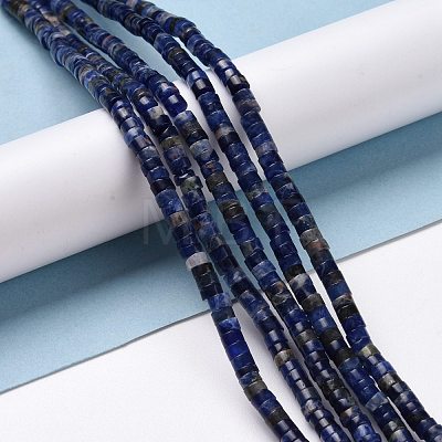 Natural Sodalite Beads Strands G-P468-19-1