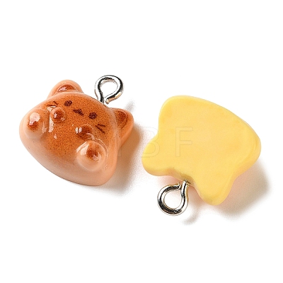 Resin Pendants RE-T001-02-1
