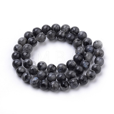 Natural Larvikite Beads Strands G-S259-06-8mm-1