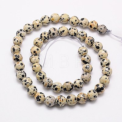 Natural Dalmation Jasper Beads Strands G-G542-8mm-07-1