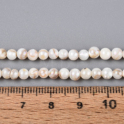 AB Color Natural Freshwater Shell Beads Strands BSHE-T014-40C-1