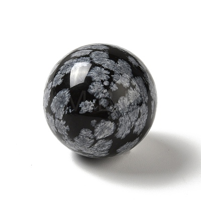 Natural Snowflake Obsidian Beads G-A206-02-06-1