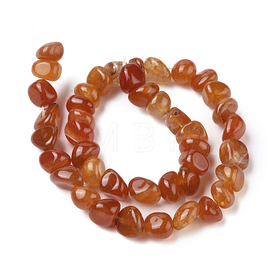 Natural Agate Beads Strands X-G-L560-M10-1