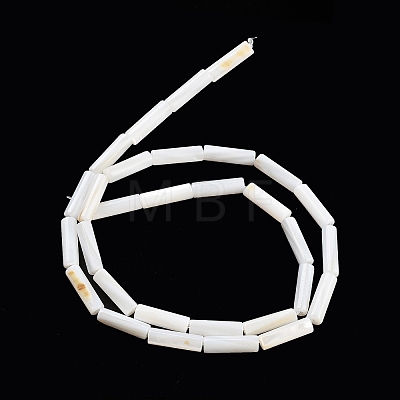 Freshwater Shell Beads Strands BSHE-L037-13-1