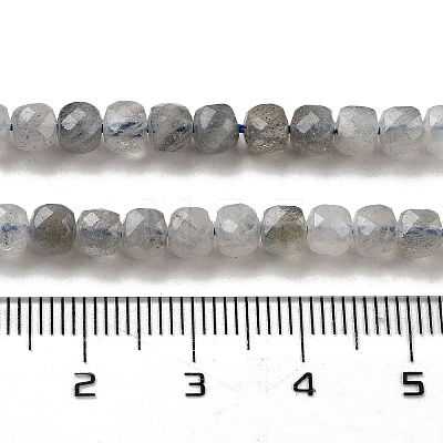 Natural Labradorite Beads Strands G-G140-C06-03-1