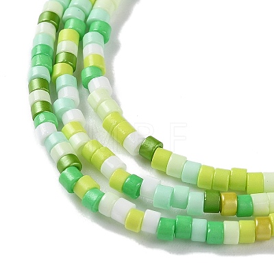 Handmade Czech Lampwork Beads Strands LAMP-L078-008-1