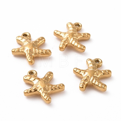 201 Stainless Steel Charms STAS-G071-06G-1