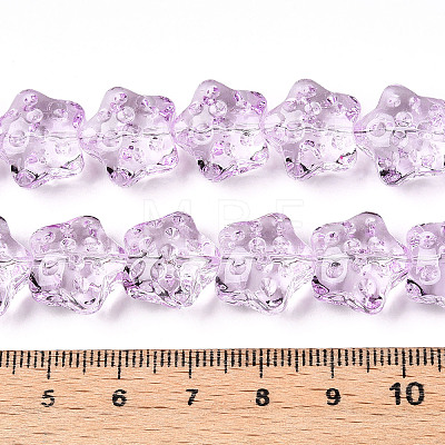 Transparency Glass Beads Strands GLAA-T023-12F-1