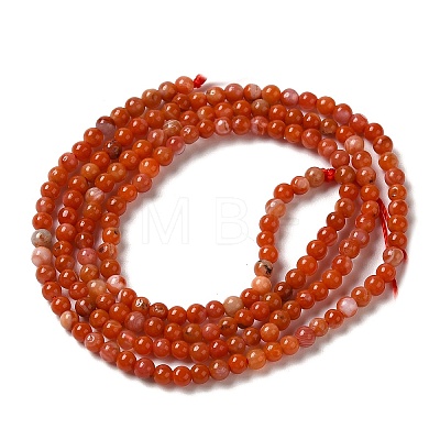 Natural South Red Agate Beads Strands G-B090-A04-01-1