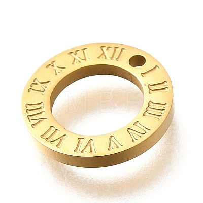 304 Stainless Steel Charms STAS-Q348-33G-1