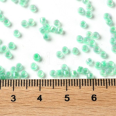 Glass Seed Beads X-SEED-S042-13A-11-1
