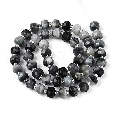 Natural Eagle Eye Stone Beads Strands G-T144-A01-03-1