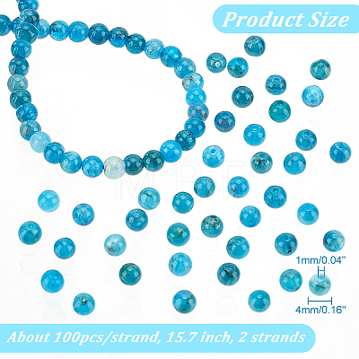  2 Strands Round Natural Apatite Beads Strands G-NB0004-51-1
