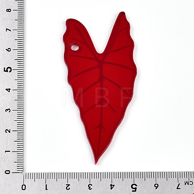 Transparent Printed Acrylic Pendants TACR-T028-30B-1