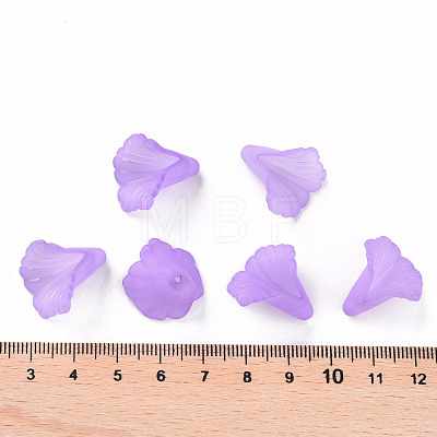 Transparent Acrylic Bead Caps PL551-C08-1