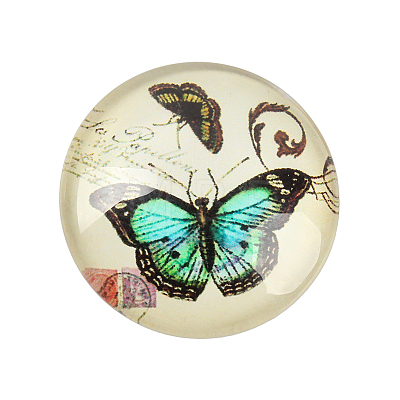Butterfly Printed Glass Half Round/Dome Cabochons X-GGLA-N004-14mm-C-1