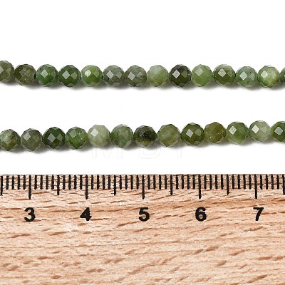Natural Green Jasper Beads Strands G-RM250101-C10-1