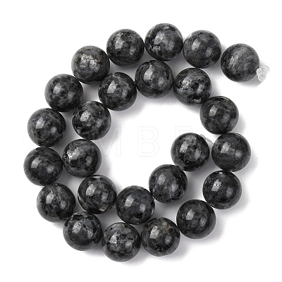 Natural Larvikite Beads Strands G-A310-A03-16mm-1