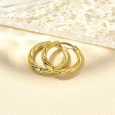 304 Stainless Steel Hoop Earrings for Women EJEW-M068-14G-06-1