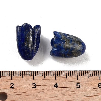 Natural Lapis Lazuli Beads G-A222-03I-1