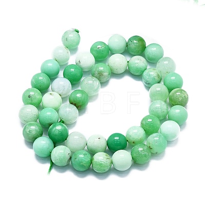 Natural Chrysoprase Beads Strands G-K245-A12-07-1