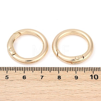 Alloy Spring Gate Clasps X-FIND-H012-05KCG-1