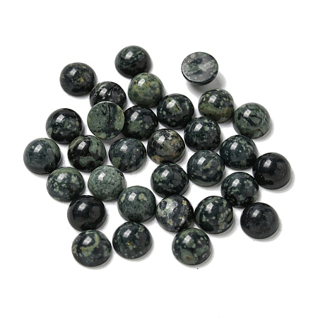 Natural Kambaba Jasper Cabochons G-Q173-01B-22-1