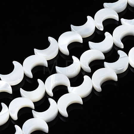 Natural Trochid Shell/Trochus Shell Beads Strands SSHEL-S266-025A-01-1