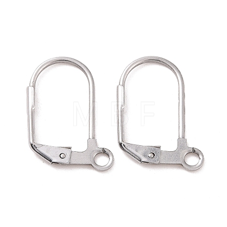 Tarnish Resistant 304 Stainless Steel Leverback Earring Findings STAS-E007-6-1