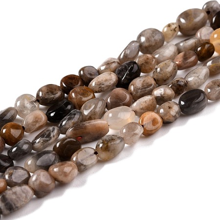 Natural Black Sunstone Beads Strands G-G018-03B-1