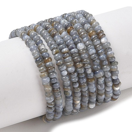 Natural Freshwater Shell Beads Strands SHEL-P017-01A-13-1