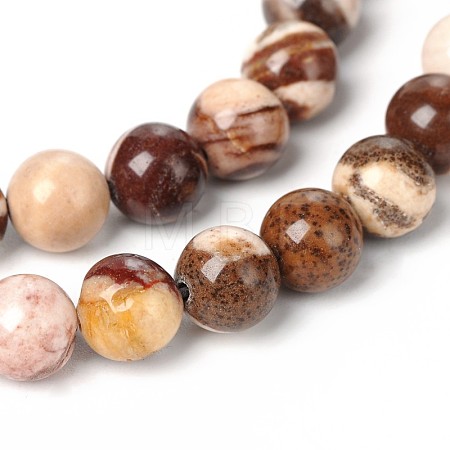 Natural Zebra Jasper Round Bead Strands G-M172-10mm-02-1-1