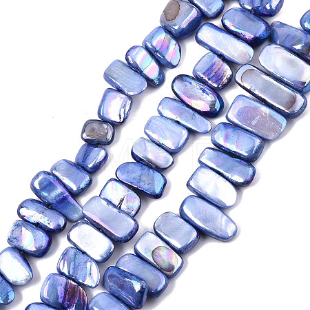 Natural Freshwater Shell Beads Strands SHEL-N026-123G-1