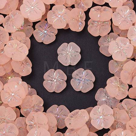 Frosted Transparent Acrylic Beads OACR-P029-19B-02-1