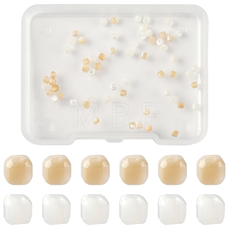 60Pcs 2 Colors Natural Trochid Shell/Trochus Shell Beads BSHE-YW0001-24-1
