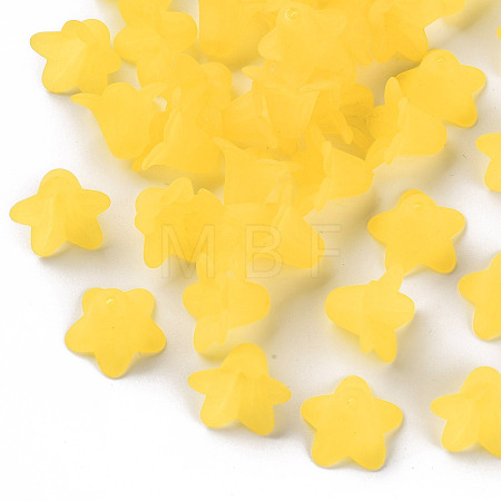 Transparent Acrylic Beads PLF018-19-1
