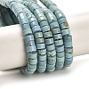 Natural Turquoise Beads Strands G-M422-C01-01-2