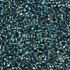 Glass Bugle Beads SEED-S032-09A-645-3