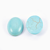 Synthetic Turquoise Cabochons G-H1554-14x10x5-2