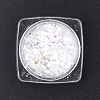 Holographic Chunky Glitter Nail Art Pigment Dust MRMJ-S015-009H-2