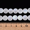 Frosted Transparent Glass Beads Strands GLAA-T032-T10mm-MBB13-4