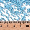 Opaque Glass Seed Beads SEED-S023-01C-03-3