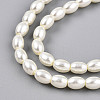 Baking Paint Pearlized Glass Pearl Bead Strands X-HY-T002-01C-02-2