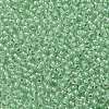 TOHO Round Seed Beads X-SEED-TR11-0354-2