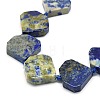 Natural Lapis Lazuli Beads Strands G-G106-E04-01-3