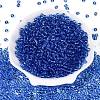 FGB Transparent Glass Seed Beads SEED-N013-01A-04-2
