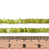 Natural Freshwater Shell Dyed Beads Strands SHEL-T020-29B-04-4