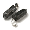 Natural Labradorite Pendants G-Z067-07P-24-3