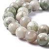 Natural Peace Jade Beads Strands X-G-G905-07-4