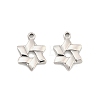 304 Stainless Steel Pendants STAS-D384-10P-1